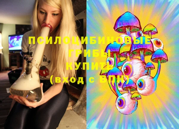 СК Корсаков