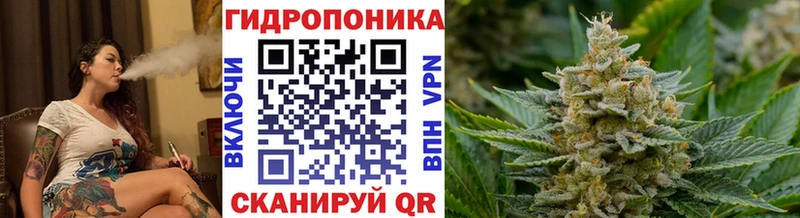 наркота  Шумиха  omg   Бошки марихуана LSD WEED 